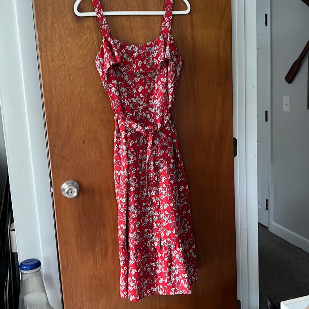 Banana Republic Floral Ruffle Dress